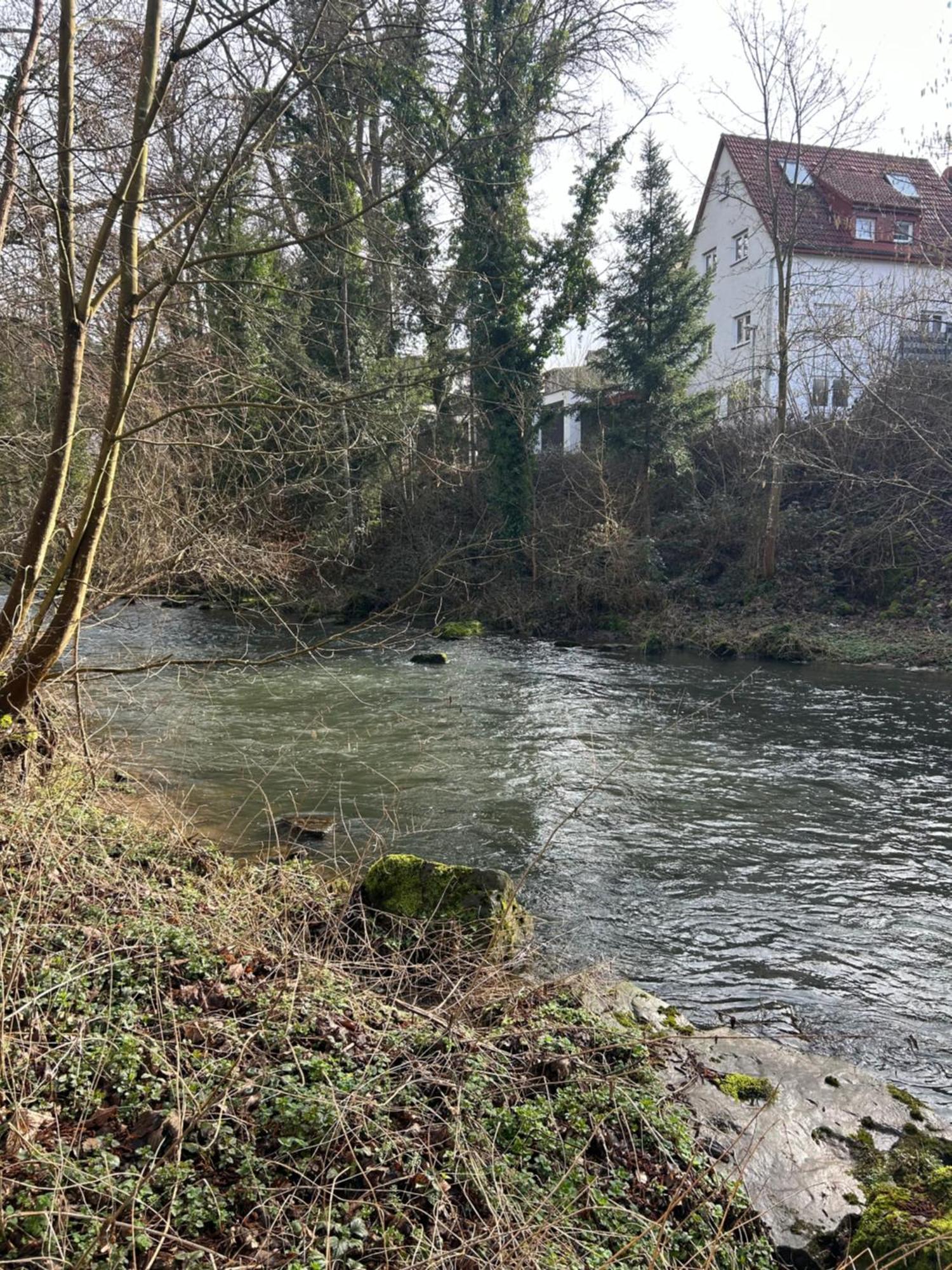 פורצהיים Villa Am Fluss מראה חיצוני תמונה