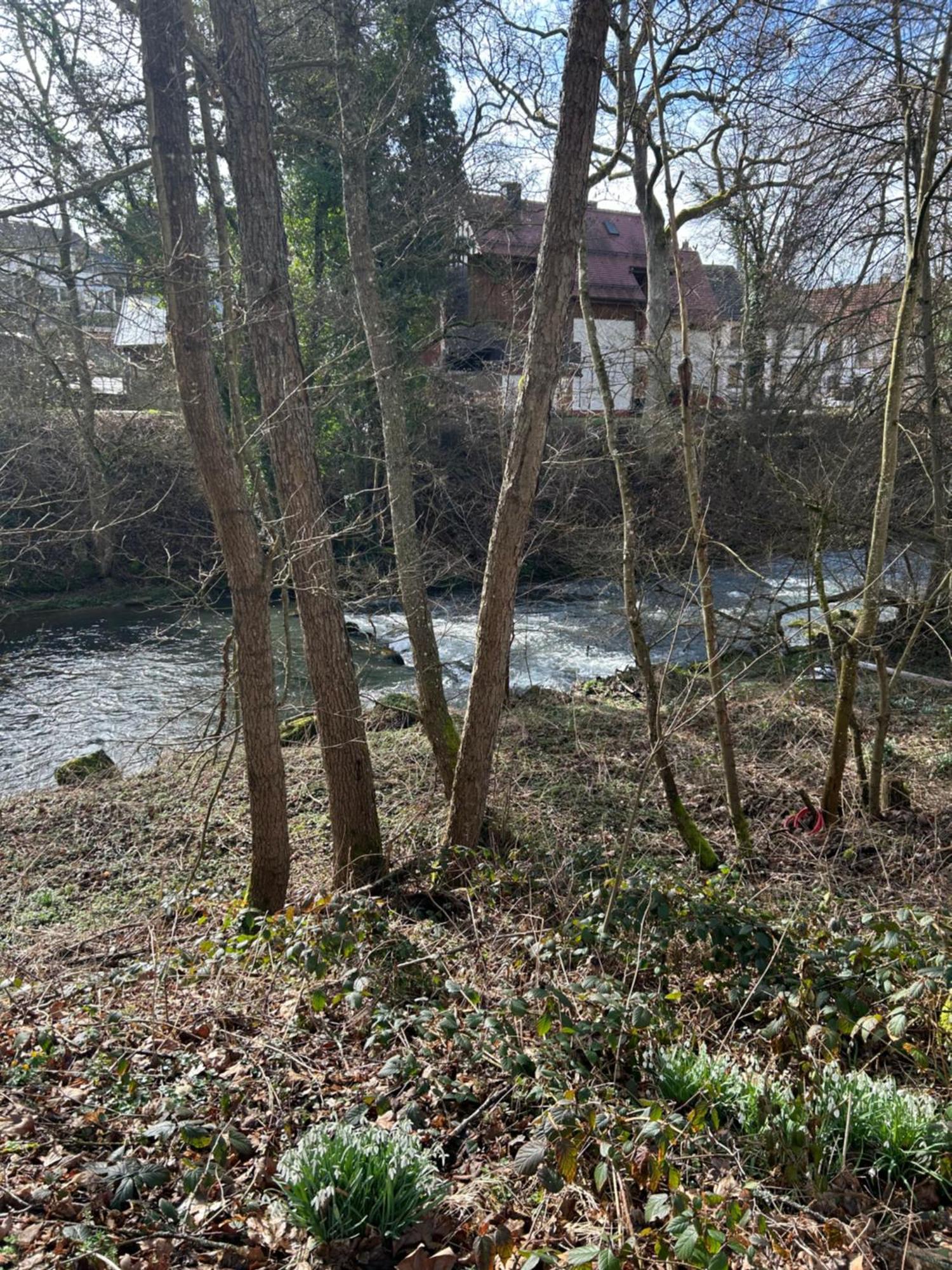 פורצהיים Villa Am Fluss מראה חיצוני תמונה